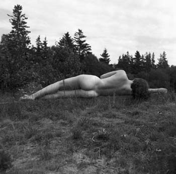 EL VUELO DE TU FALDA